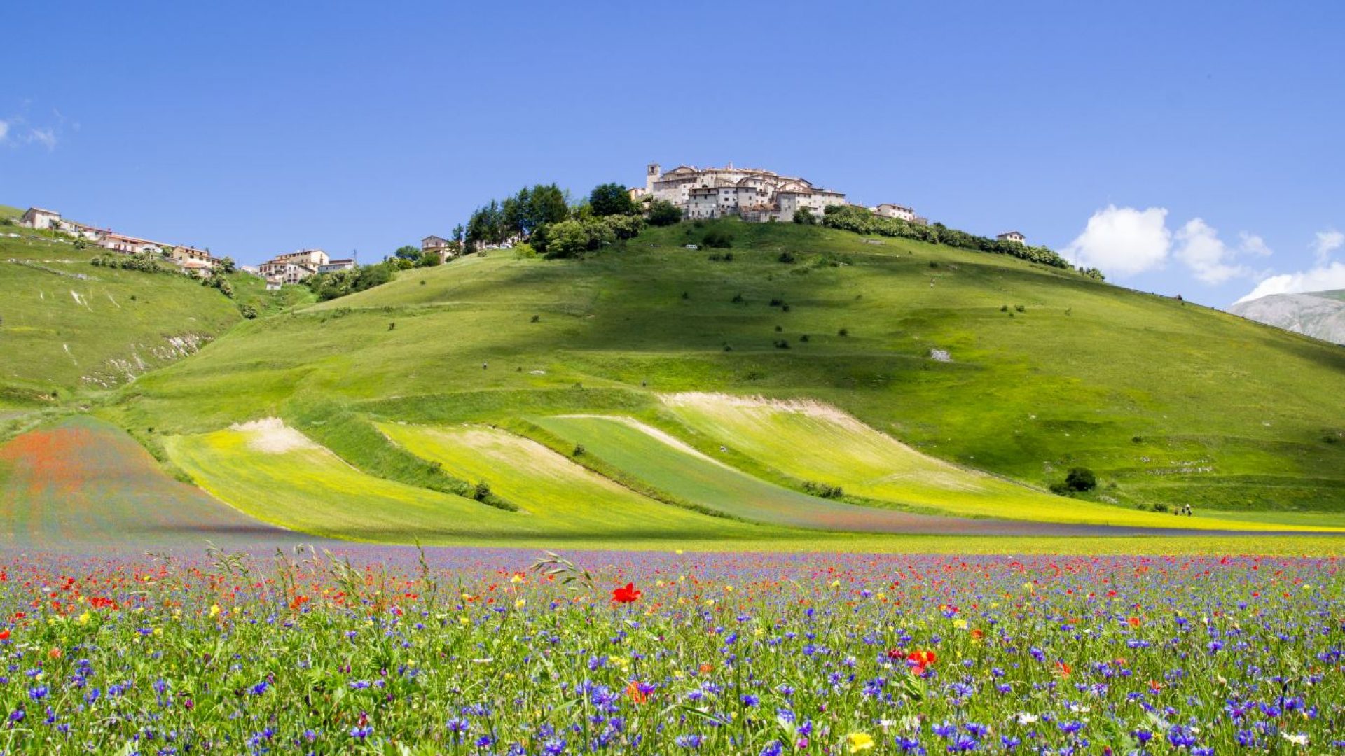 Le Marche